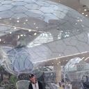 ���������� ������ ��������, ���� ������� ������, 33 ����, ������������ ��� ������, ����� � ���������