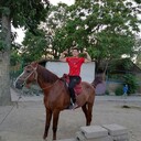 ���������� ���������, ���� ������� ����, 27 ���, ������������ ��� ������, ����� � ���������