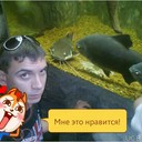 ���������� ������ ���, ���� ������� �������, 36 ���, ������������ ��� ����� � ���������, c�������� ���������, ���������