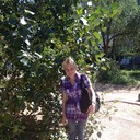  -,   , 62 ,   ,   , c 
