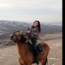 ���������� ����������, ���� ������� ������, 49 ���, ������������ ��� c�������� ���������, ���������