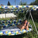 ���������� ������������, ���� ������� ���������, 36 ���, ������������ ��� ����� � ���������, c�������� ���������