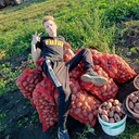  ,   SIQRITI, 22 ,   ,   