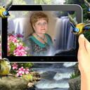  ,   , 65 ,  