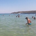 ���������� ����������, ���� ������� �������, 38 ���, ������������ ��� ������, ����� � ���������