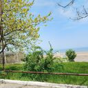 ���������� ���������, ���� ������� �������, 38 ���, ������������ ��� c�������� ���������