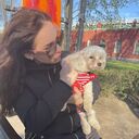 ���������� ������, ���� ������� ����, 33 ����, ������������ ��� ������, ����� � ���������, c�������� ���������