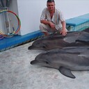 ���������� �����, ���� ������� ������, 42 ����, ������������ ��� ������, ����� � ���������, c�������� ���������