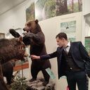 ���������� ����-���������, ���� ������� KVF, 35 ���, ������������ ��� ����� � ���������, c�������� ���������