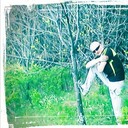 ���������� �����������, ���� ������� ����, 36 ���, ������������ ��� ������, ����� � ���������, c�������� ���������, ���������