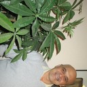 ���������� �����, ���� ������� ��������, 62 ����, ������������ ��� ����� � ���������, c�������� ���������