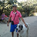  ,   Kosmos, 50 ,     , c , 