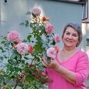 ���������� ������� �����, ���� ������� ������, 58 ���, ������������ ��� ����� � ���������