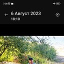  -,   , 34 ,   ,   
