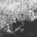 ���������� ������ ��������, ���� ������� ����, 33 ����, ������������ ��� ������, ����� � ���������