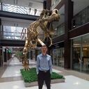 ���������� ������, ���� ������� ������, 39 ���, ������������ ��� ������, ����� � ���������, c�������� ���������