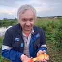 ���������� �������, ���� ������� ����, 64 ����, ������������ ��� ������, ����� � ���������, ���������