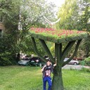  ,   , 30 ,   ,   , 
