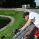 ���������� ��������, ���� ������� ����, 41 ���, ������������ ��� ������, ����� � ���������, c�������� ���������, ���������