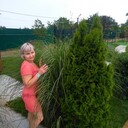 ���������� ���������, ���� ������� �������, 36 ���, ������������ ��� ������, ����� � ���������, c�������� ���������