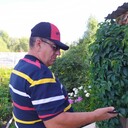 ���������� �����������, ���� ������� ������� ����, 68 ���, ������������ ��� ����� � ���������, c�������� ���������