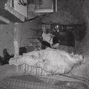 ���������� ������, ���� ������� ���������, 27 ���, ������������ ��� ����� � ���������, c�������� ���������, ���������