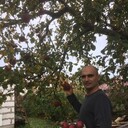 ���������� ������, ���� ������� �����, 45 ���, ������������ ��� ������, ����� � ���������, c�������� ���������