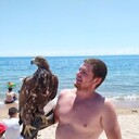 ���������� ������, ���� ������� ������, 32 ����, ������������ ��� ������, ����� � ���������, c�������� ���������