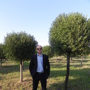 ���������� ������, ���� ������� ���������, 39 ���, ������������ ��� ������, ����� � ���������, c�������� ���������