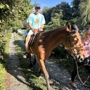  -,   , 42 ,   ,   , c , 