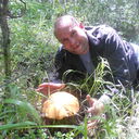  ,   , 56 ,   ,   