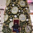 ���������� ������, ���� ������� �����, 28 ���, ������������ ��� ������, ����� � ���������, c�������� ���������, ���������