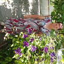 ���������� ���������������, ���� ������� ��������, 51 ���, ������������ ��� c�������� ���������