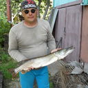  ,   , 59 ,   