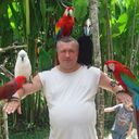 ���������� ������, ���� ������� ������, 59 ���, ������������ ��� ������, ����� � ���������