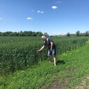 ���������� ������, ���� ������� ���������, 50 ���, ������������ ��� ������, ����� � ���������, c�������� ���������