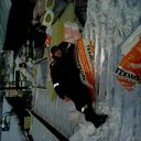 ���������� �����������, ���� ������� ������1988, 37 ���, ������������ ��� ������