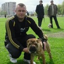 ���������� ����, ���� ������� ������, 38 ���, ������������ ��� ������, ����� � ���������, c�������� ���������