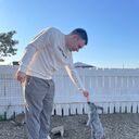 ���������� ���������, ���� ������� ������, 31 ���, ������������ ��� ������, ����� � ���������, c�������� ���������