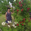  ,   , 63 ,   c 
