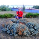 ���������� �����, ���� ������� ��������, 47 ���, ������������ ��� ������, ����� � ���������, c�������� ���������, ���������