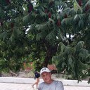  ,   , 55 ,   ,   