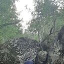 ���������� ������������, ���� ������� ������, 43 ����, ������������ ��� ������, ����� � ���������, c�������� ���������