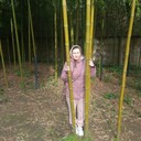 ���������� �����, ���� ������� ��������, 34 ����, ������������ ��� ����� � ���������, c�������� ���������