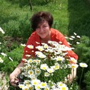 ���������� �����-���������, ���� ������� �����, 59 ���, ������������ ��� ����� � ���������, c�������� ���������