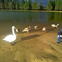  ,   , 42 ,   ,   , c 