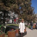 ���������� �����������, ���� ������� �����, 39 ���, ������������ ��� ����� � ���������, c�������� ���������