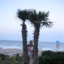 ���������� �����, ���� ������� �����, 71 ���, ������������ ��� ����� � ���������, c�������� ���������