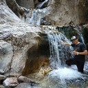 ���������� �������, ���� ������� Abror, 38 ���, ������������ ��� ������, ����� � ���������, c�������� ���������