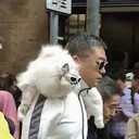 ���������� ������, ���� ������� ���, 28 ���, ������������ ��� ������, ����� � ���������